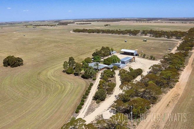 Picture of 1674 Chaunceys Line Road, BRINKLEY SA 5253