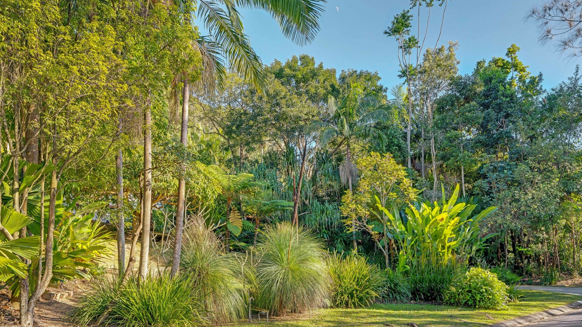 17A Yamble Dr, Ocean Shores NSW 2483 Domain