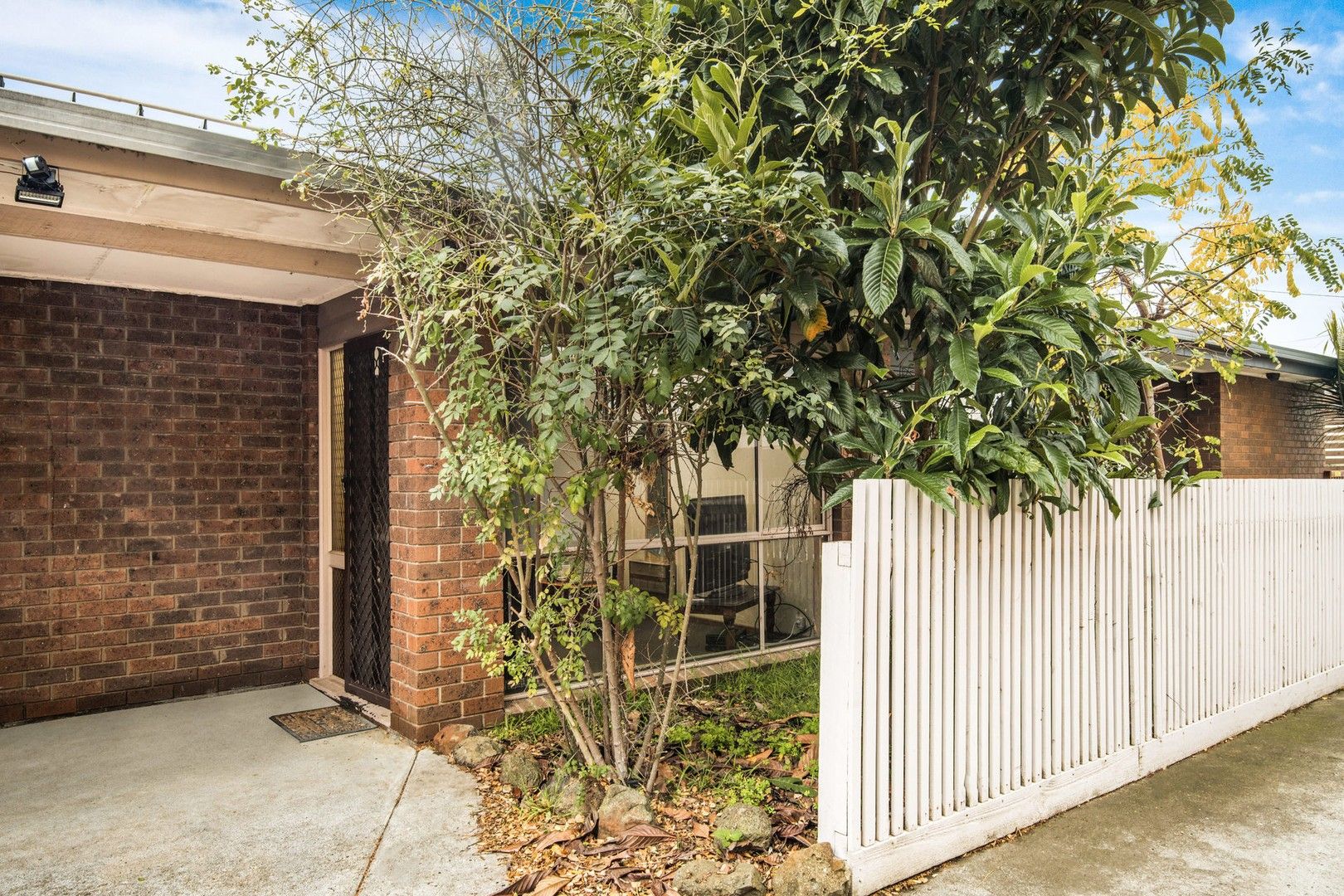 3/17 Truscott Street, Whittington VIC 3219