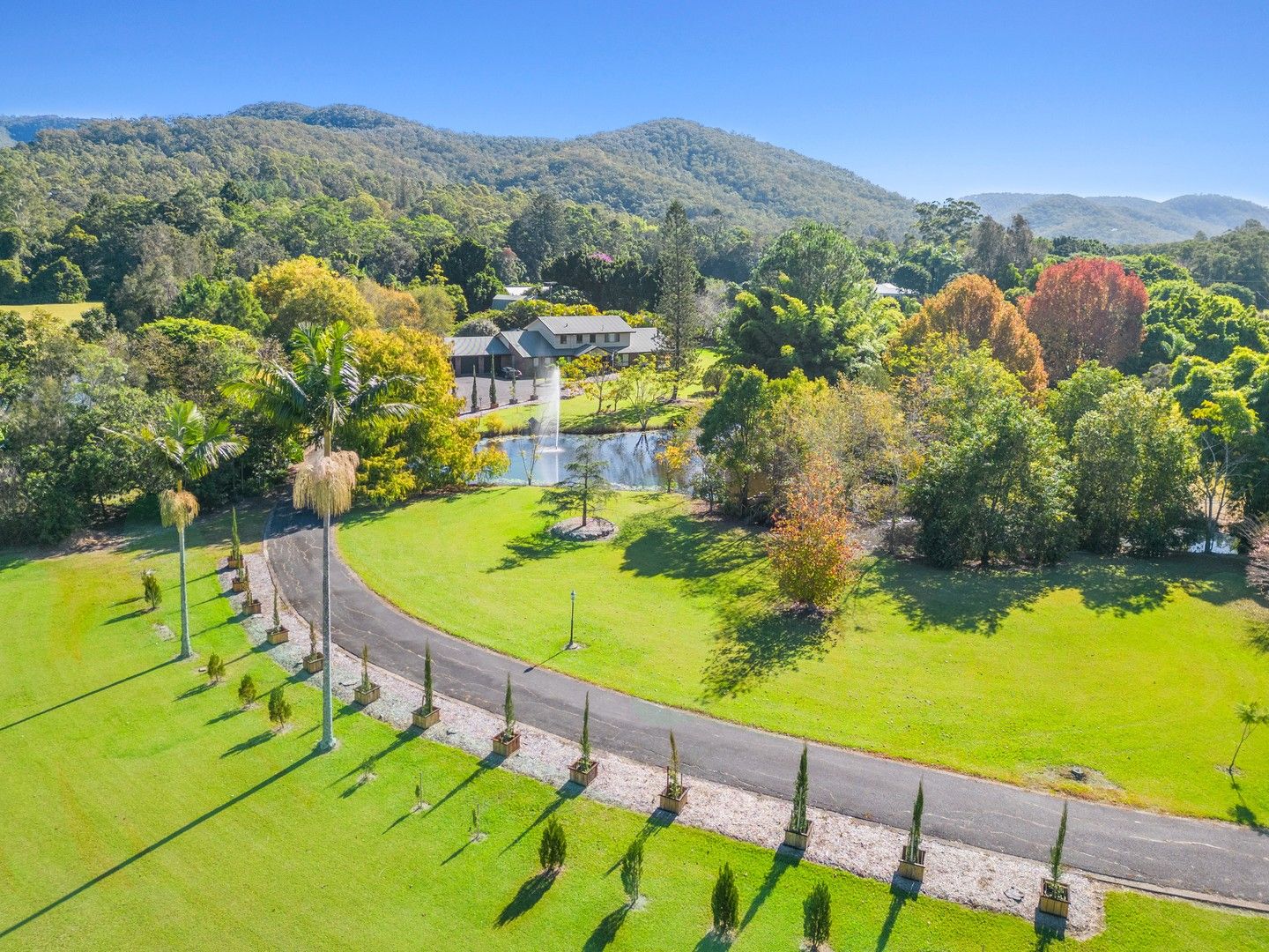 59 Currey Road, Wongawallan QLD 4210 House for Sale Domain