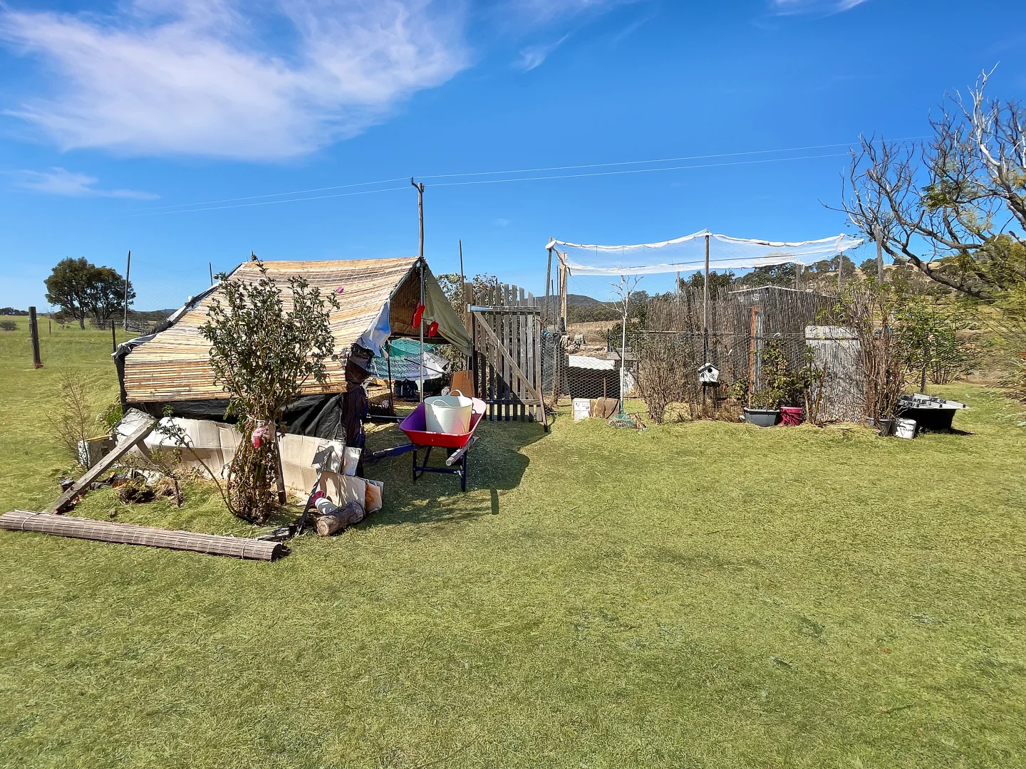 Image 23