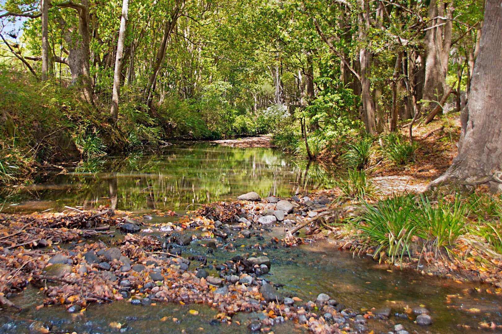 Tyalgum NSW 2484, Image 2