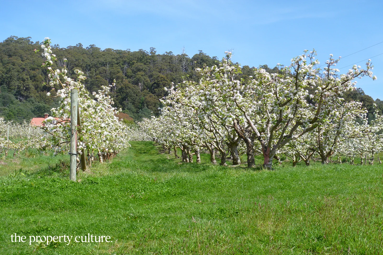 Additional image 32 of 25 Triffets Lane, Castle Forbes Bay TAS 7116