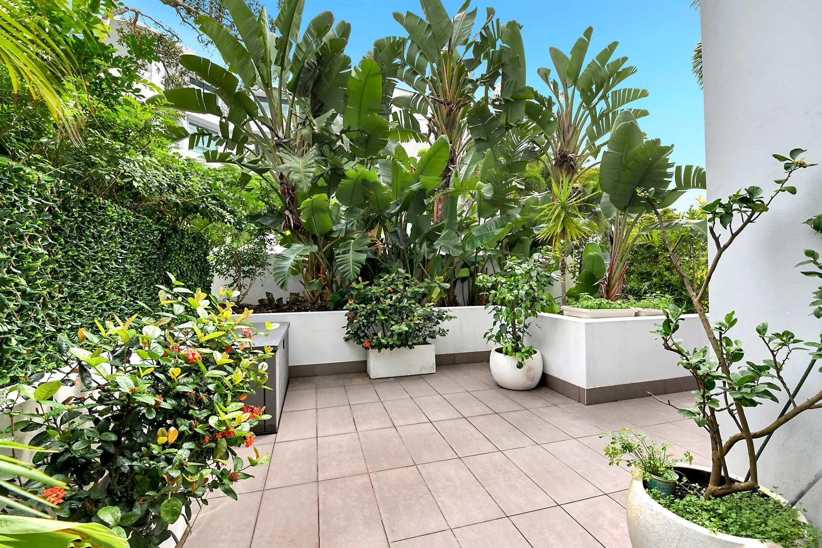 Additional image 13 of 1T/20-28 Bayview Street, Runaway Bay QLD 4216