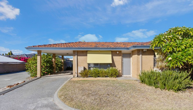 Picture of 5/68 Barbican Street, SHELLEY WA 6148