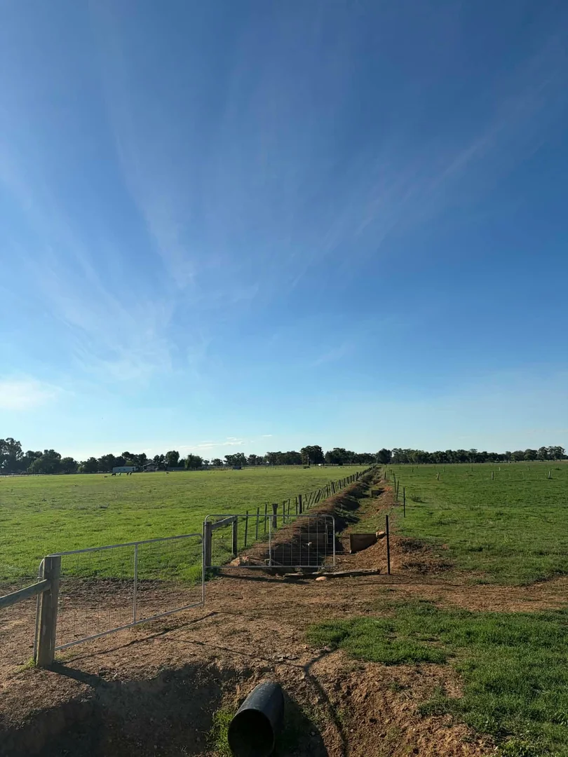 Additional image 25 of 78 Nicholson Lane, Kotta VIC 3565