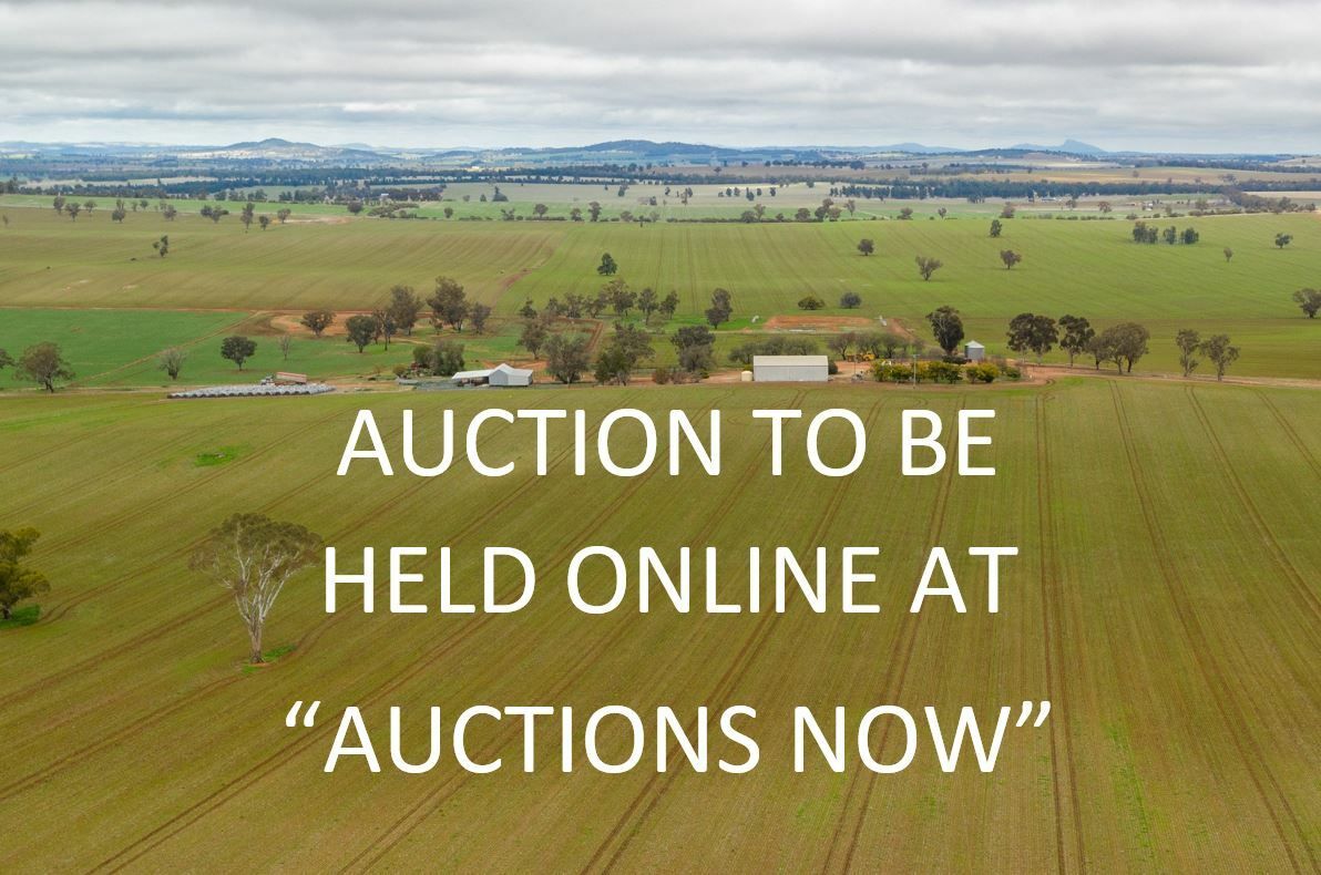 378 Chamberlains Lane.Coolamon Via, Wagga Wagga NSW 2650, Image 0