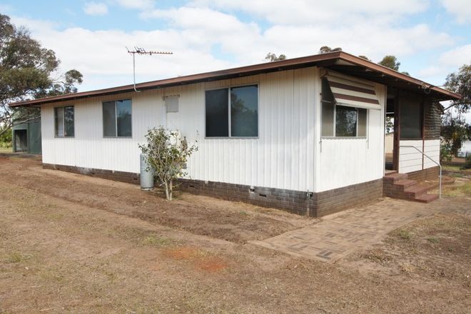 Picture of 38 Love Street, DUMBLEYUNG WA 6350