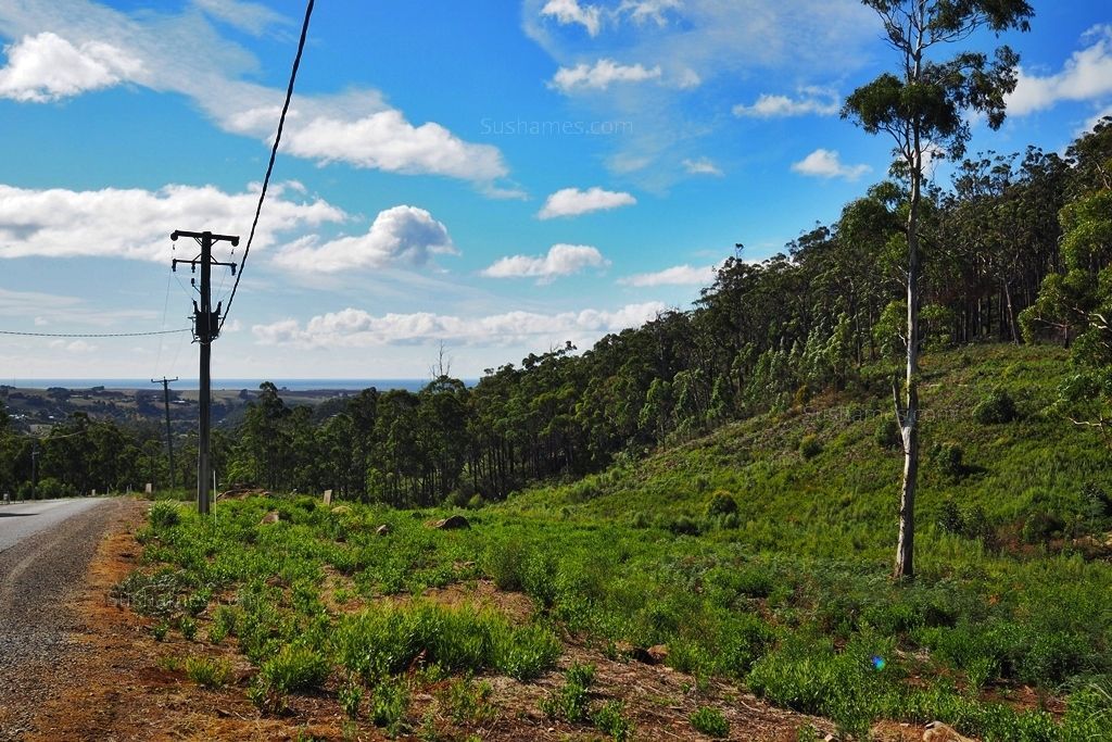 Lot 20 Forest Heights Drive, Tugrah TAS 7310, Image 2