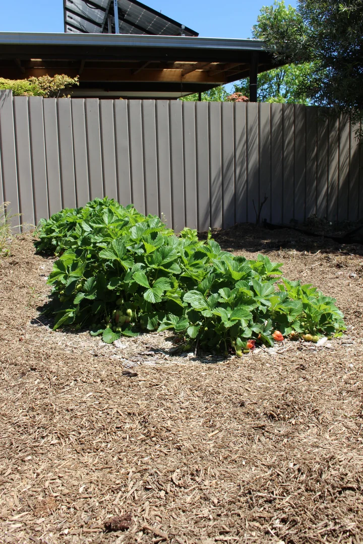 Additional image 9 of 187 Wheeler St, Corryong VIC 3707