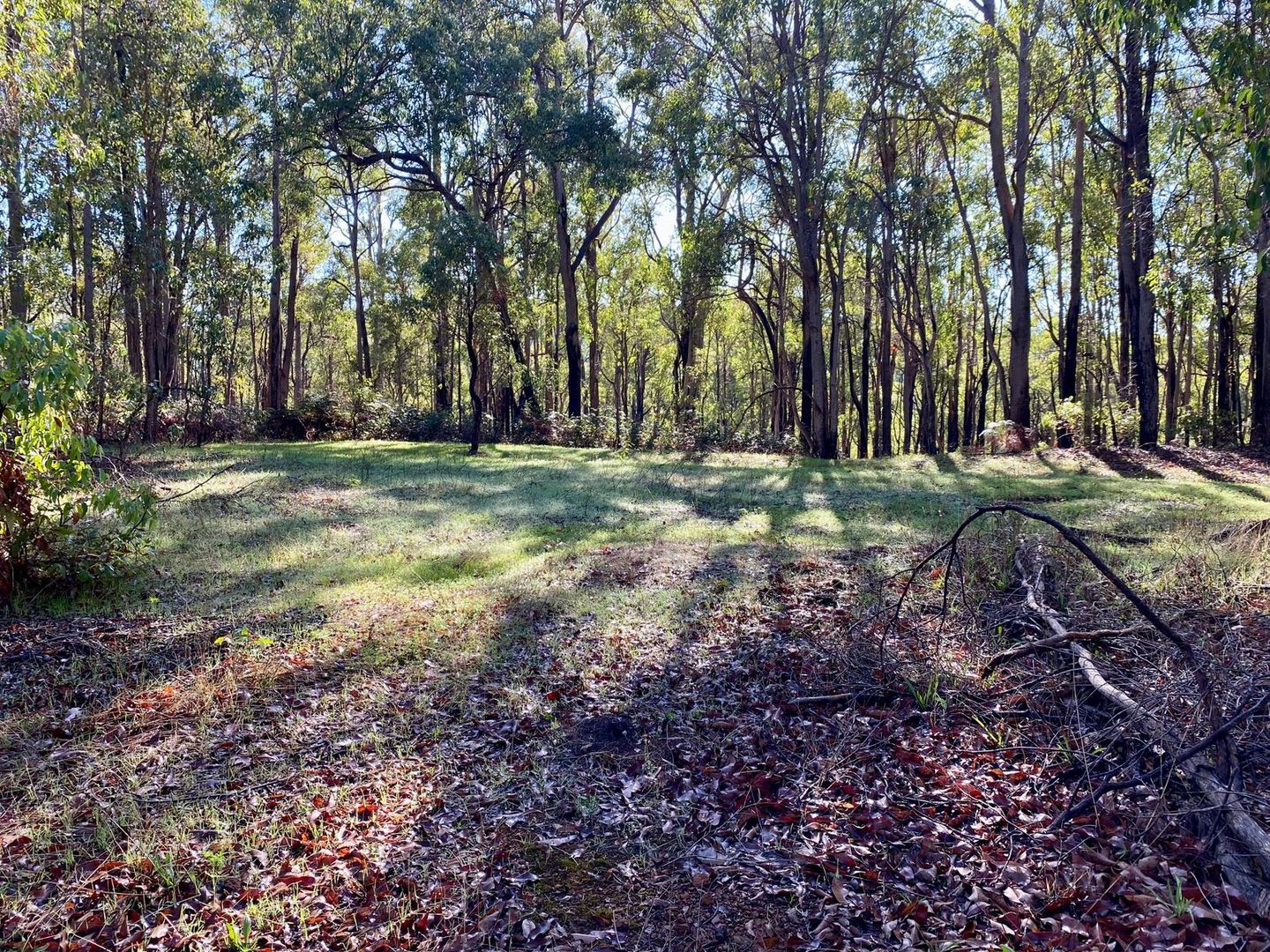 Lot 22 Oro Road, Dwellingup WA 6213, Image 1