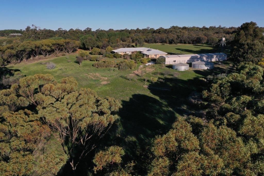 244 Mokine Road, Narrogin WA 6312 House for Sale Domain