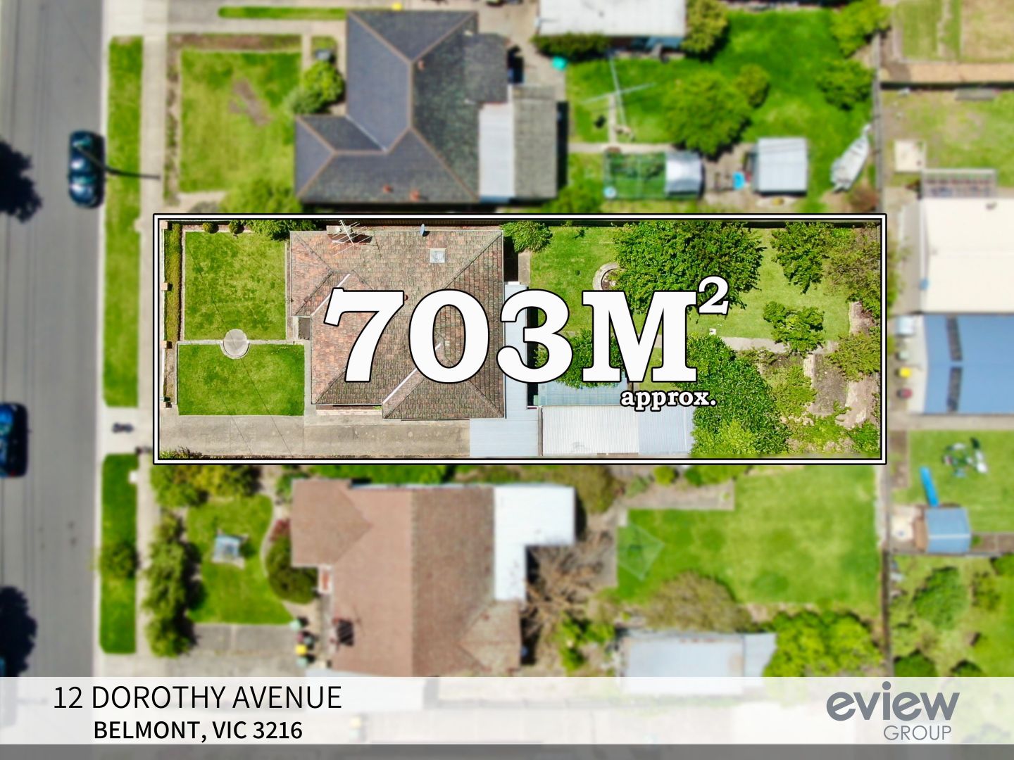 12 Dorothy Ave, Belmont VIC 3216, Image 1