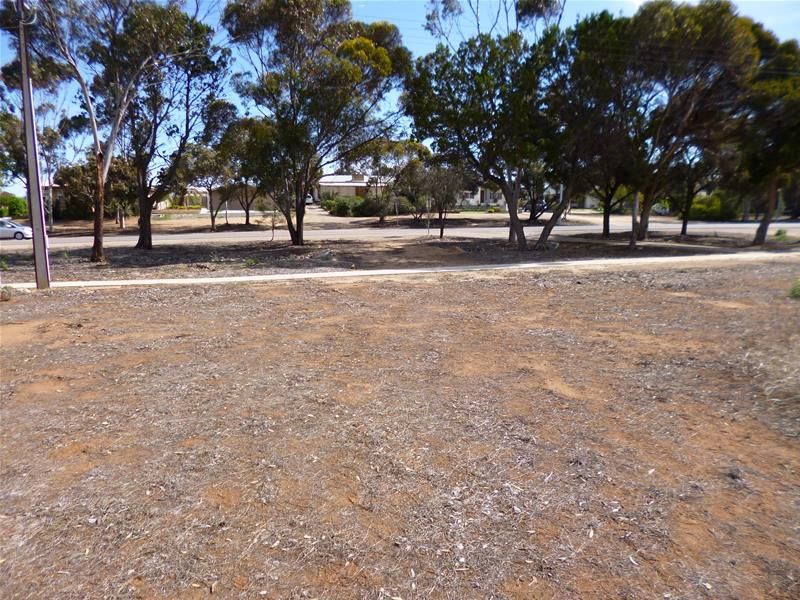 63 Adelaide Road, Mannum SA 5238, Image 2