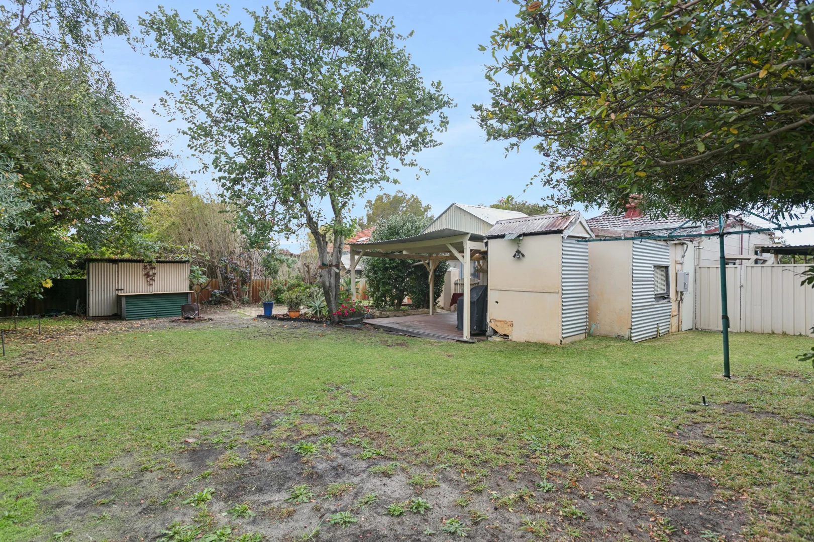 Image 12