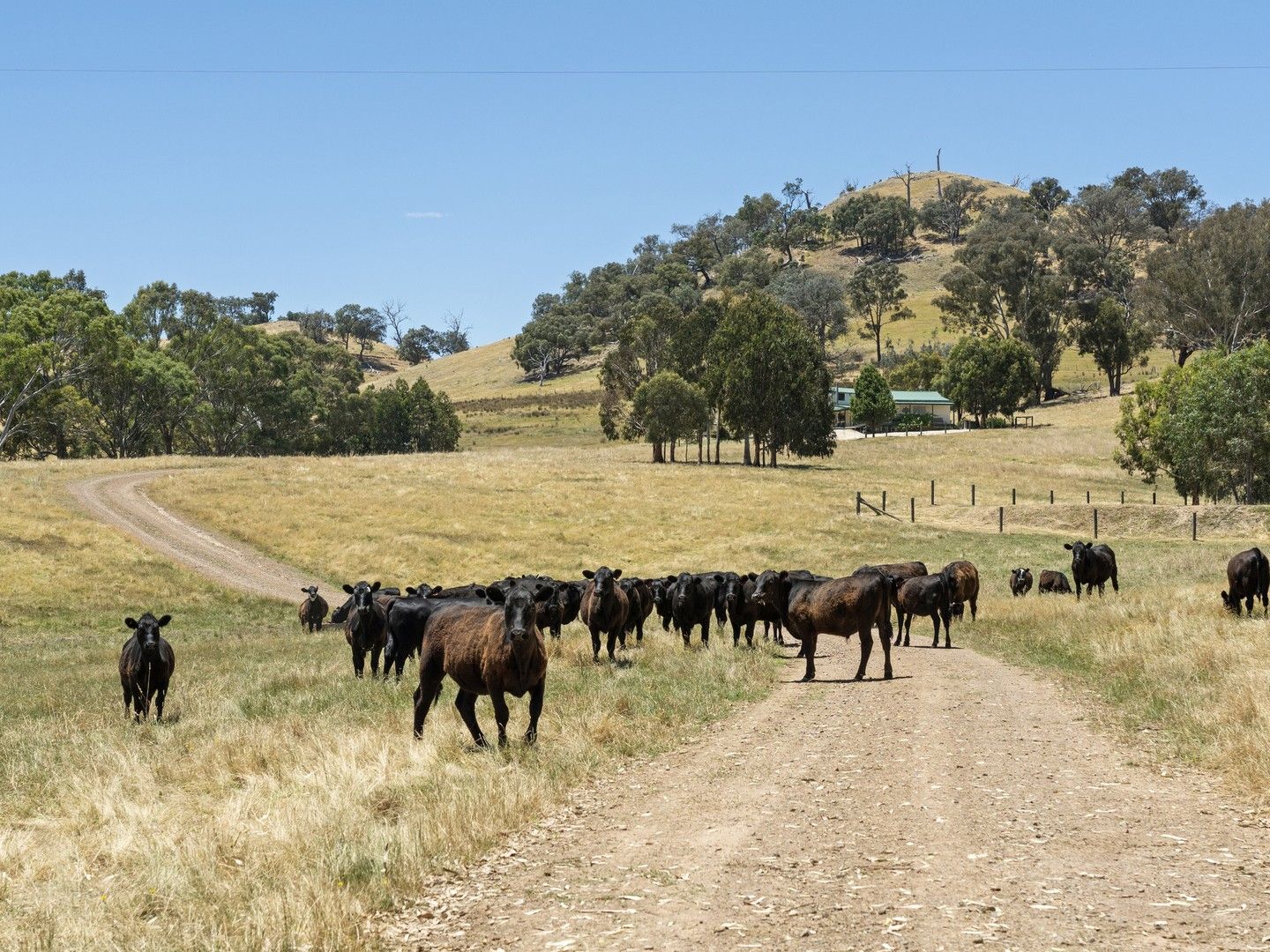 929 Monkey Gully Road, Goughs Bay VIC 3723, Image 0