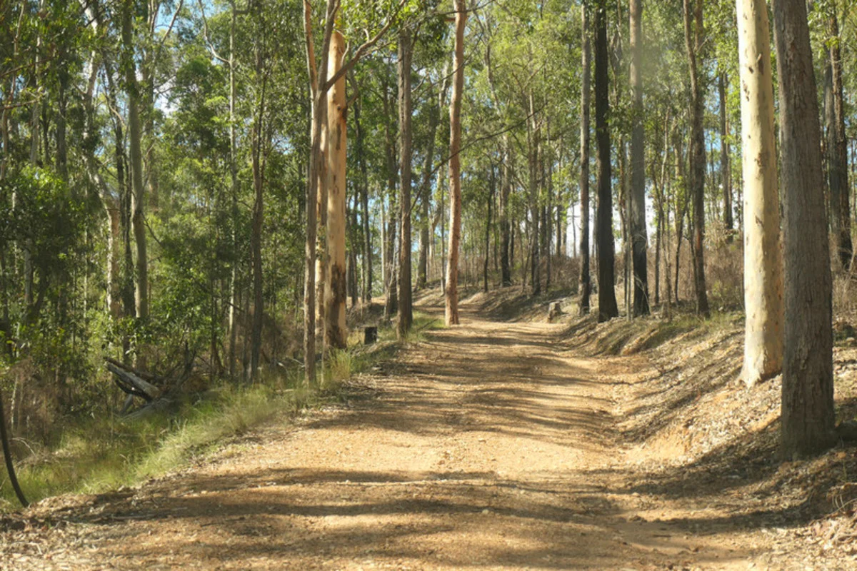 Image 10