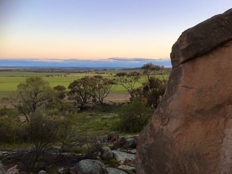 1081 KellerberrinYoting Road, Mount Caroline WA 6410 Farm for Sale