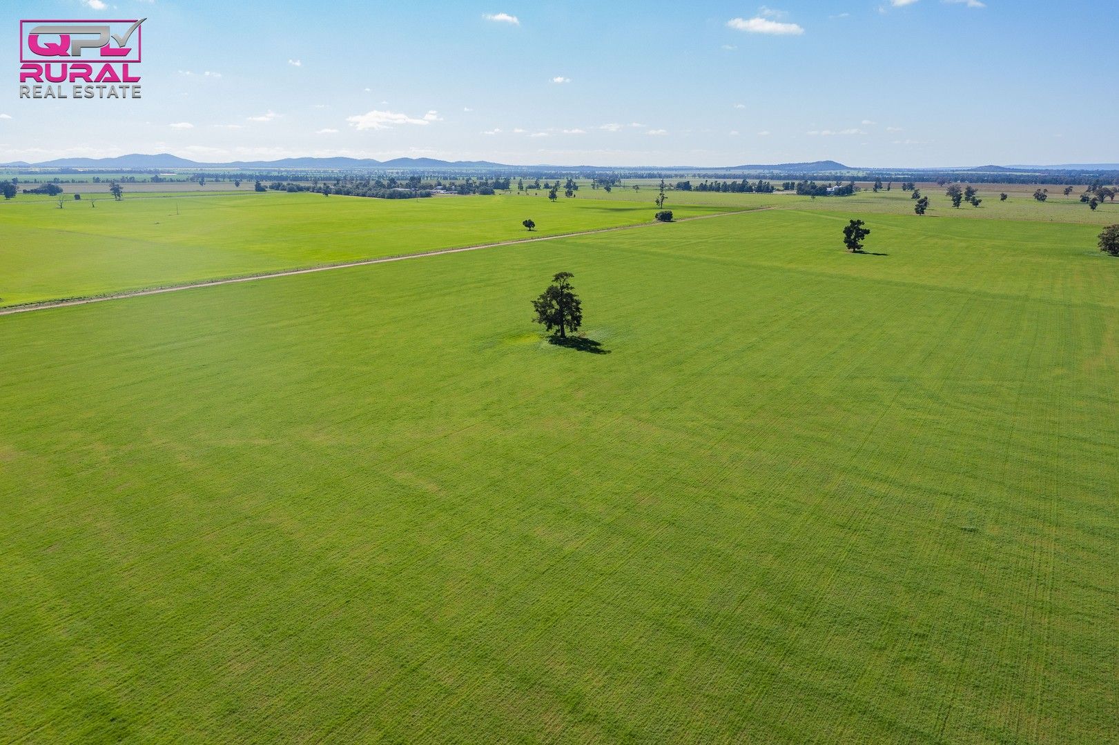 South Yalgogrin Road, Barellan NSW 2665, Image 0