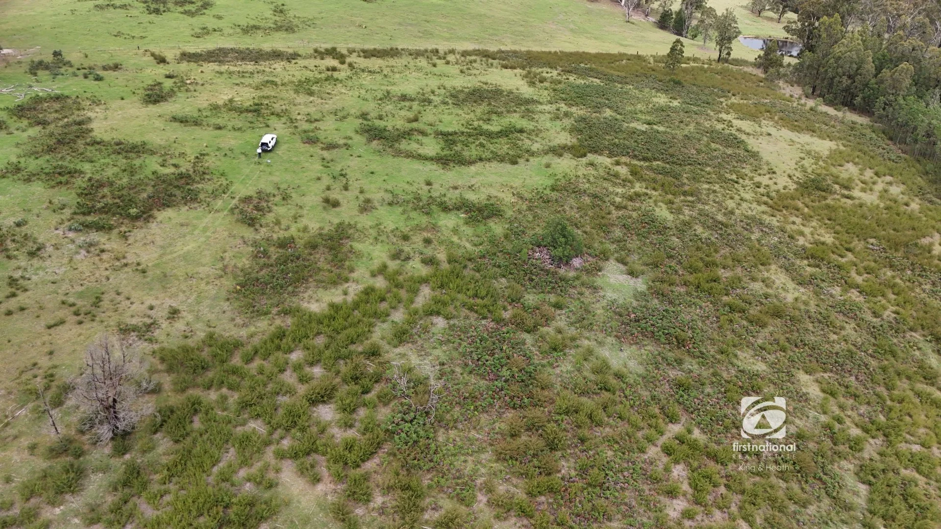 Additional image 9 of Lot 1/303 Basin Road, Buchan VIC 3885