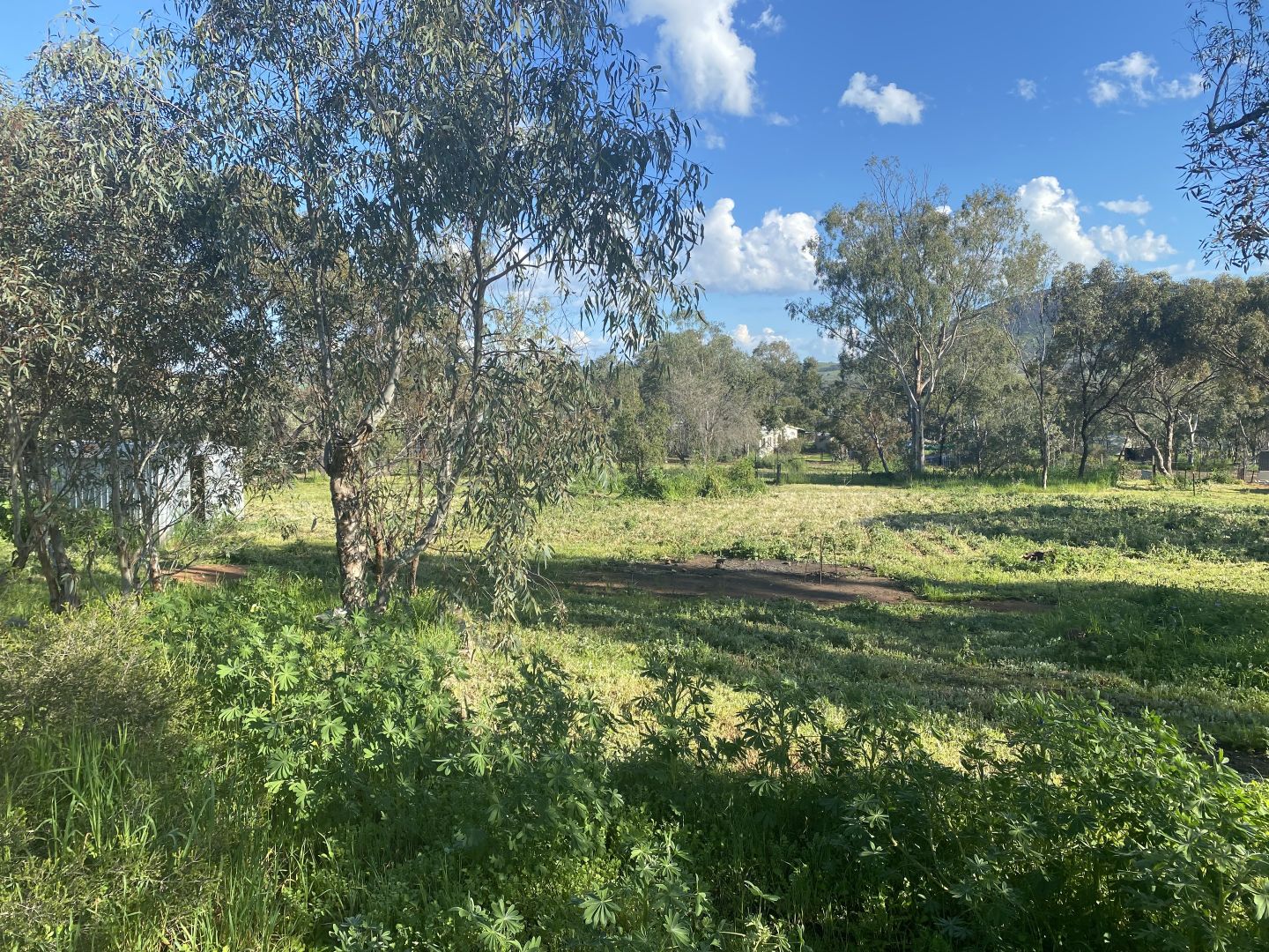 2966 Northam-York Road, York WA 6302, Image 2