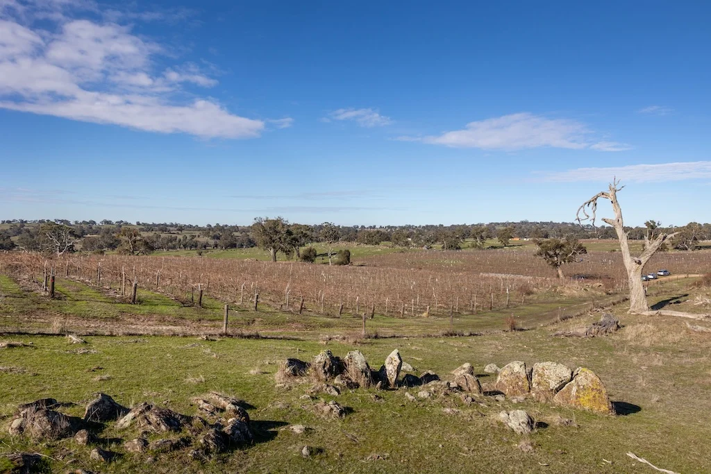 Image 12