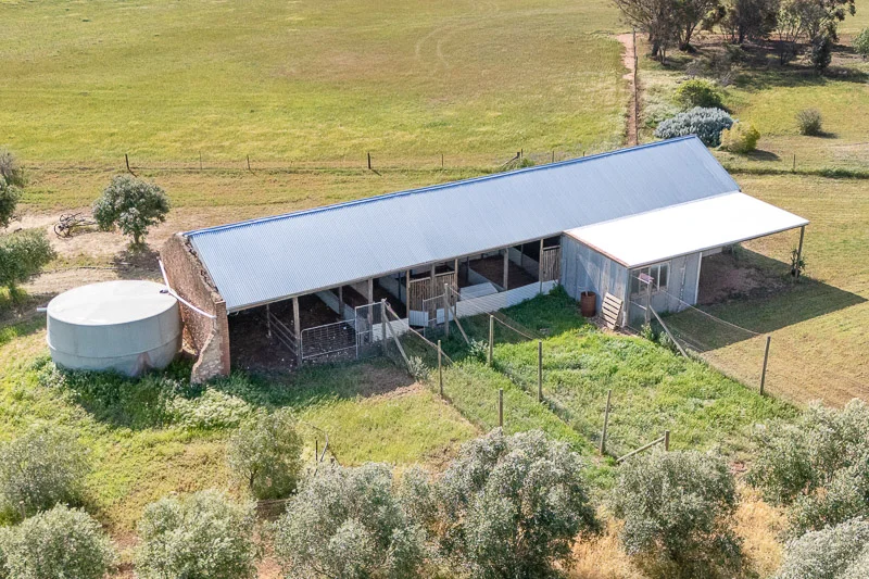 Additional image 19 of 201 Murphy Road, Barabba SA 5460