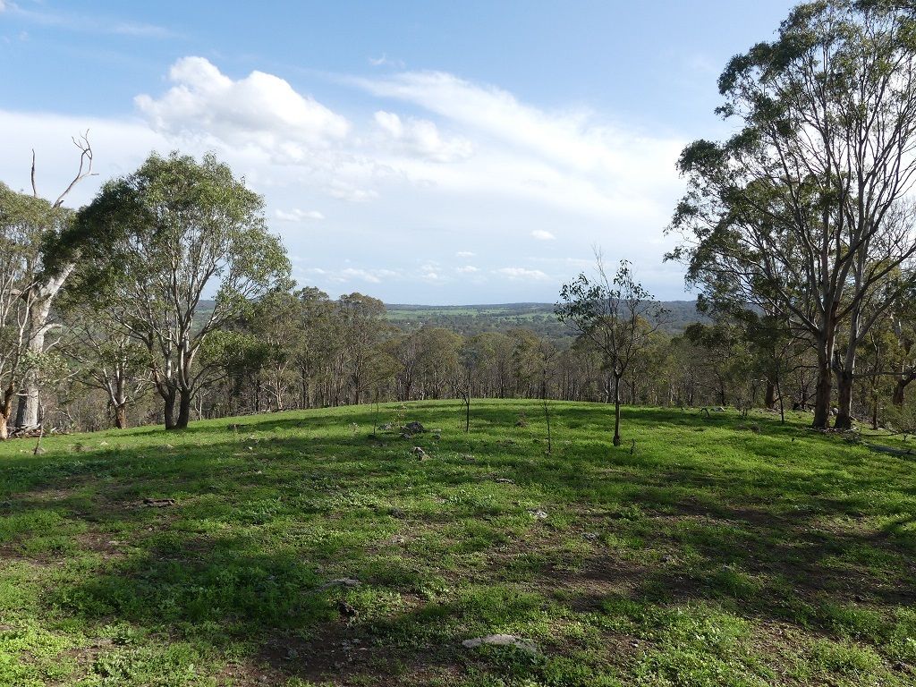 Scrims Road, Dalveen QLD 4374, Image 0