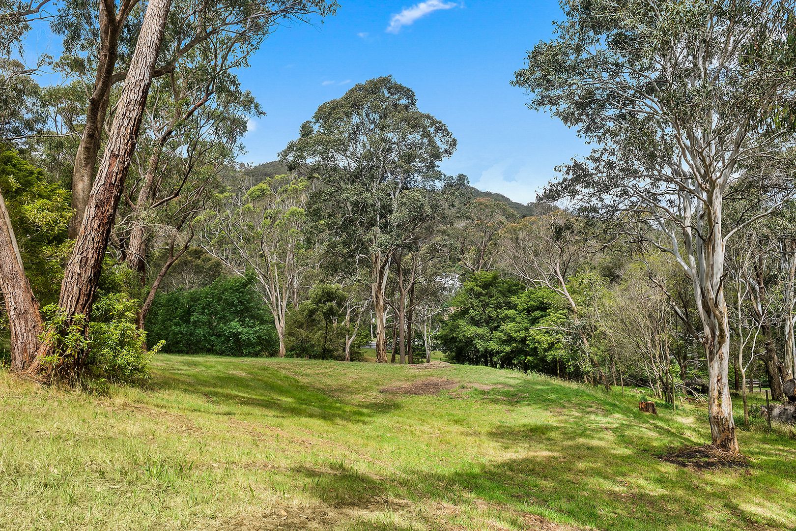 3 Evans Lane, Bowral NSW 2576 Domain