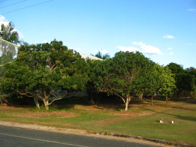 35 CALEN-MOUNT CHARLTON ROAD CALEN 4798, Calen QLD 4798, Image 0