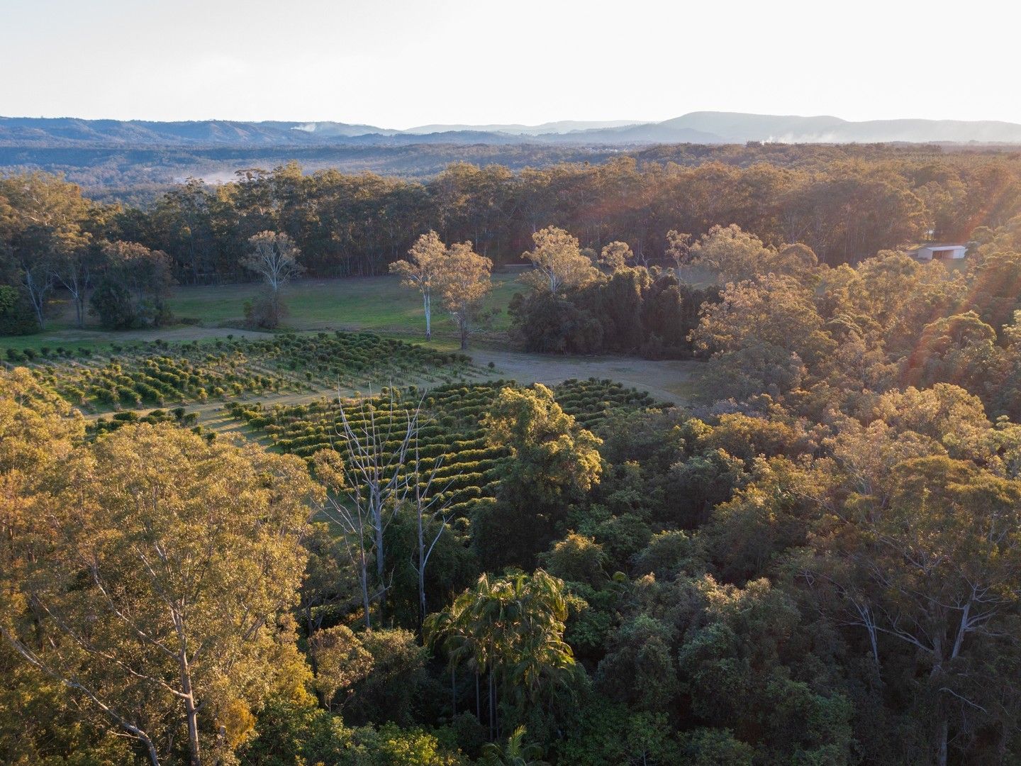 500 McConnell Road, Bracalba QLD 4512 House for Sale Domain