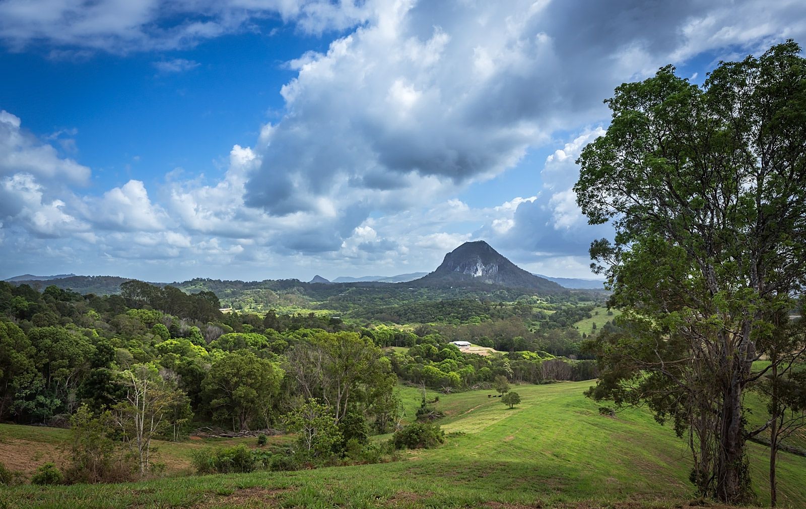 182 Uhlmanns Road, Federal QLD 4568, Image 0