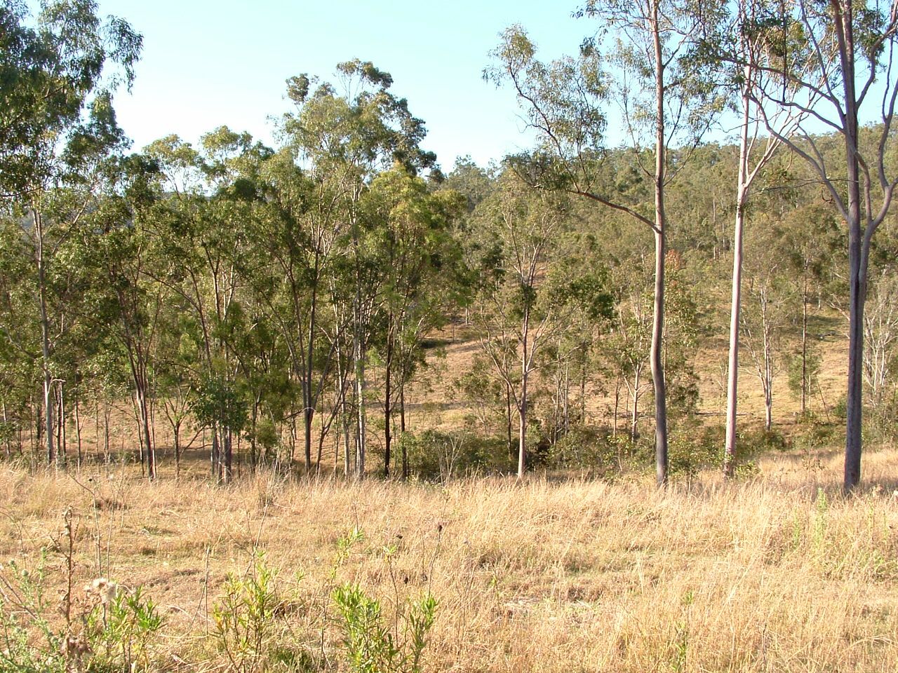 Lot 3 Northbrook Parkway, DUNDAS QLD 4306, Image 2