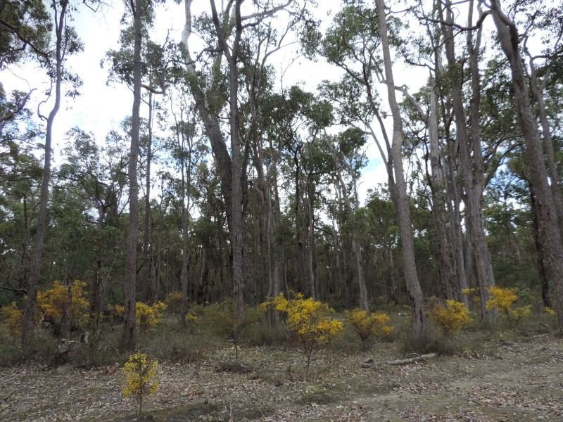 7 Four Forty Road, Benjinup WA 6255, Image 2