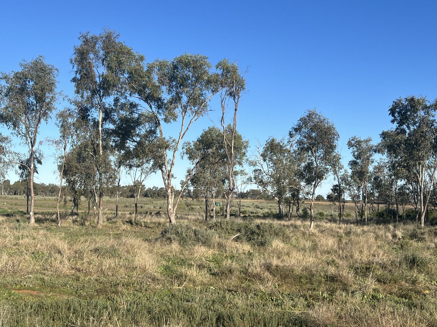 261 Stewart Drive, Curlew Waters, Lake Cargelligo NSW 2672 Domain