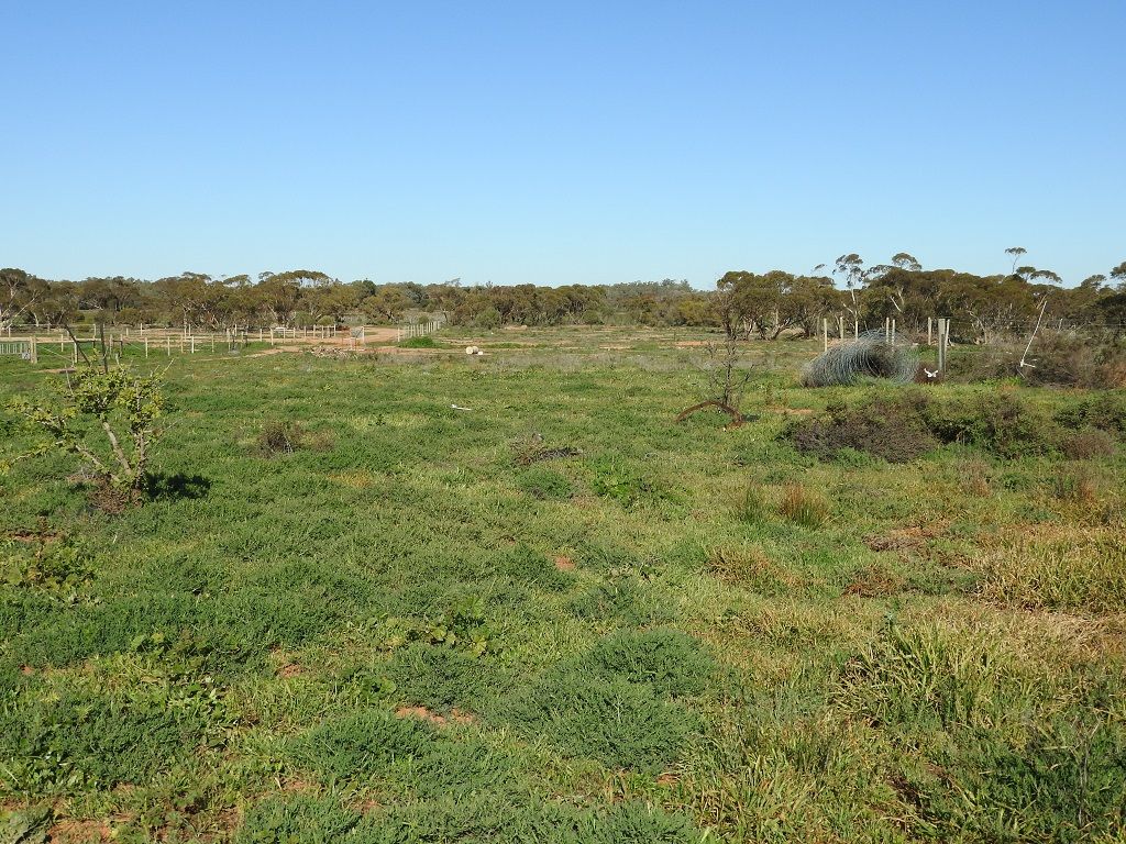 Lot 2 O'Connor Street, Balranald NSW 2715 Farmlet for Sale 230,000