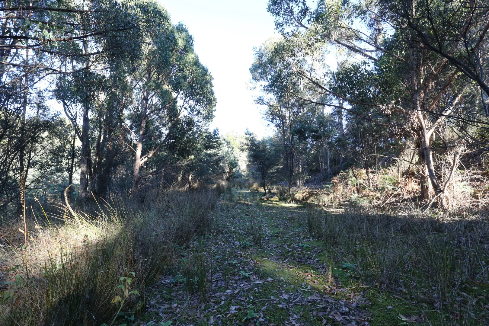 Additional image 11 of 166 Kerrisons Road, Holwell TAS 7275
