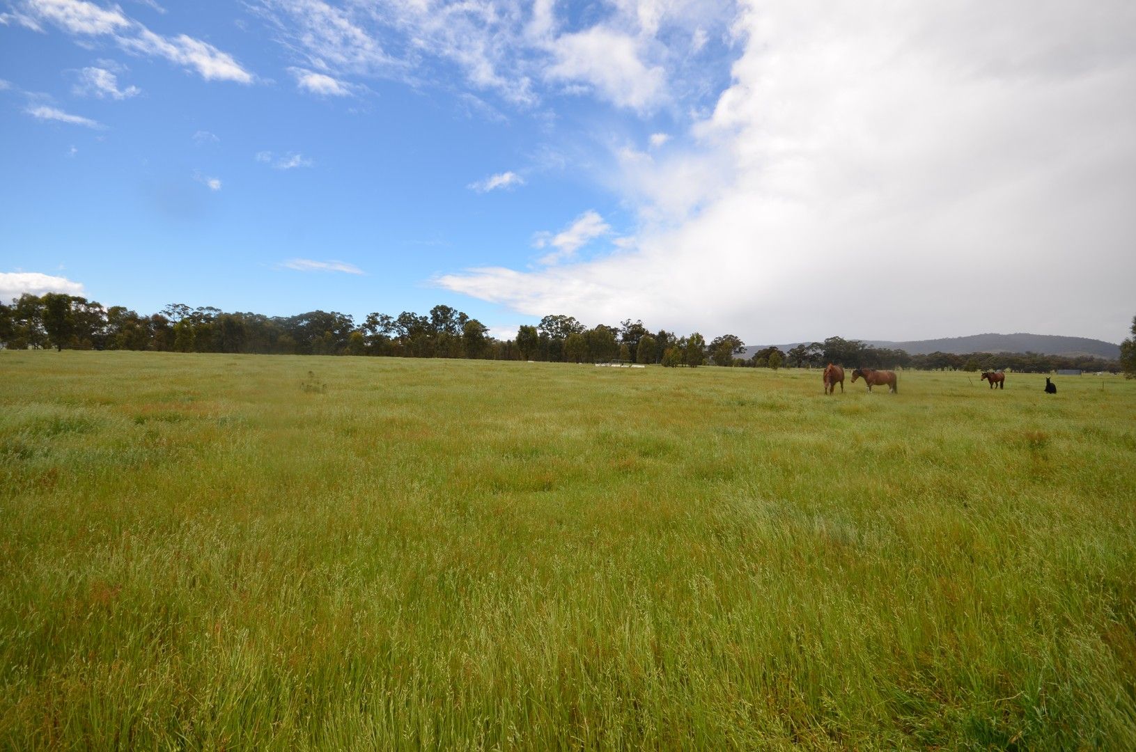 Lot 2 Marland Road, Barkly VIC 3384, Image 0