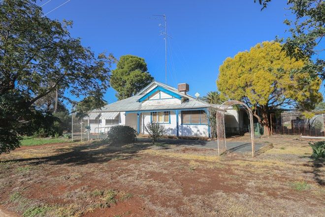 Picture of 48 Muriel Street, UNGARIE NSW 2669