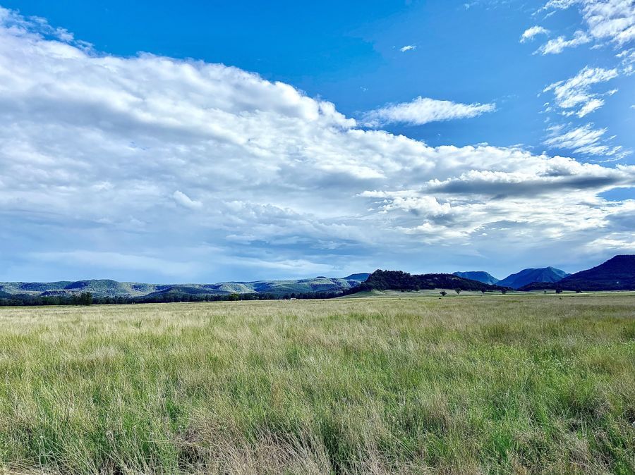 3046 Baradine road, Coonabarabran NSW 2357 House for Sale Domain