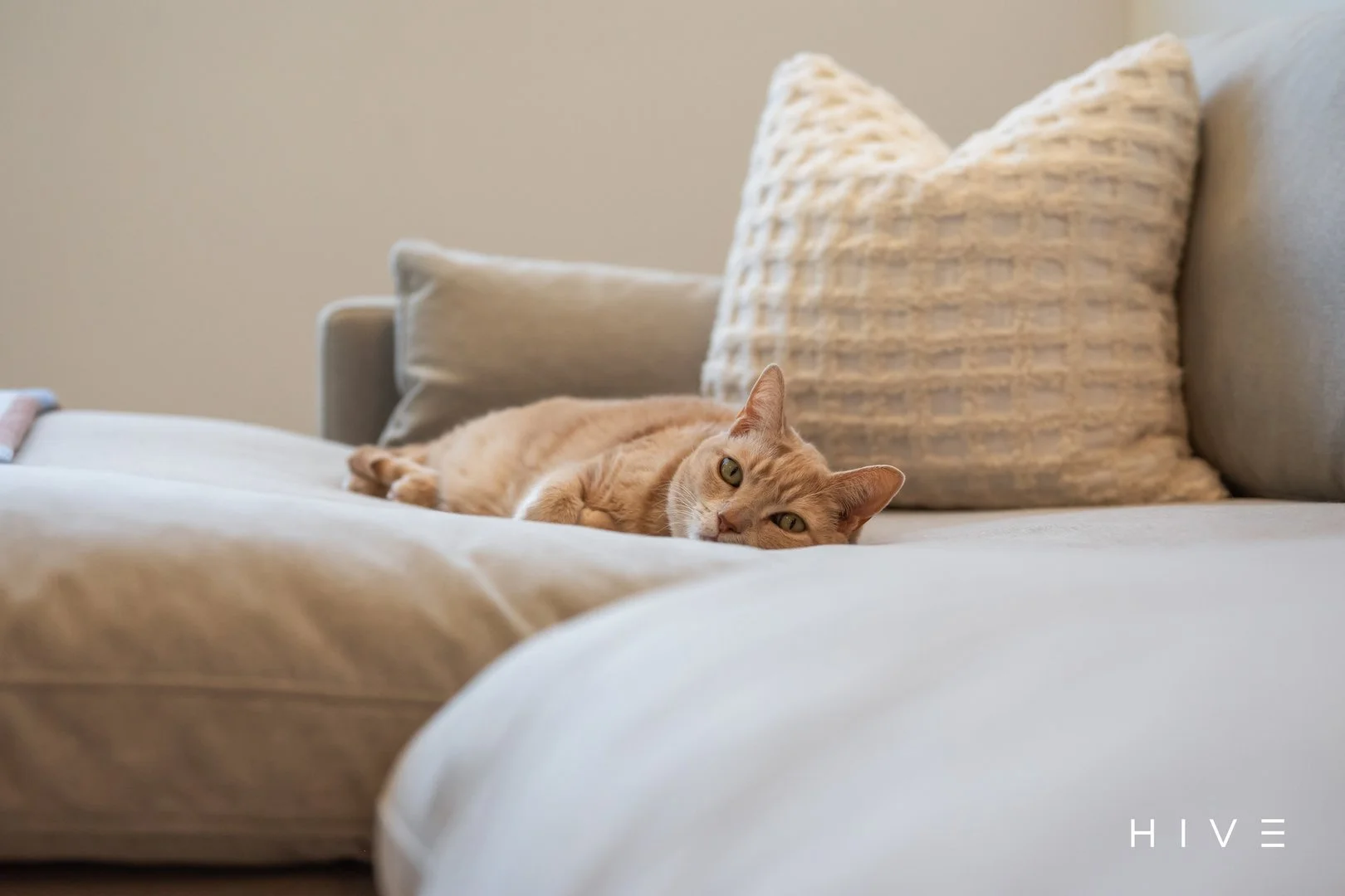 Additional image 7 of 512/2 Terry Connolly Street, Coombs ACT 2611