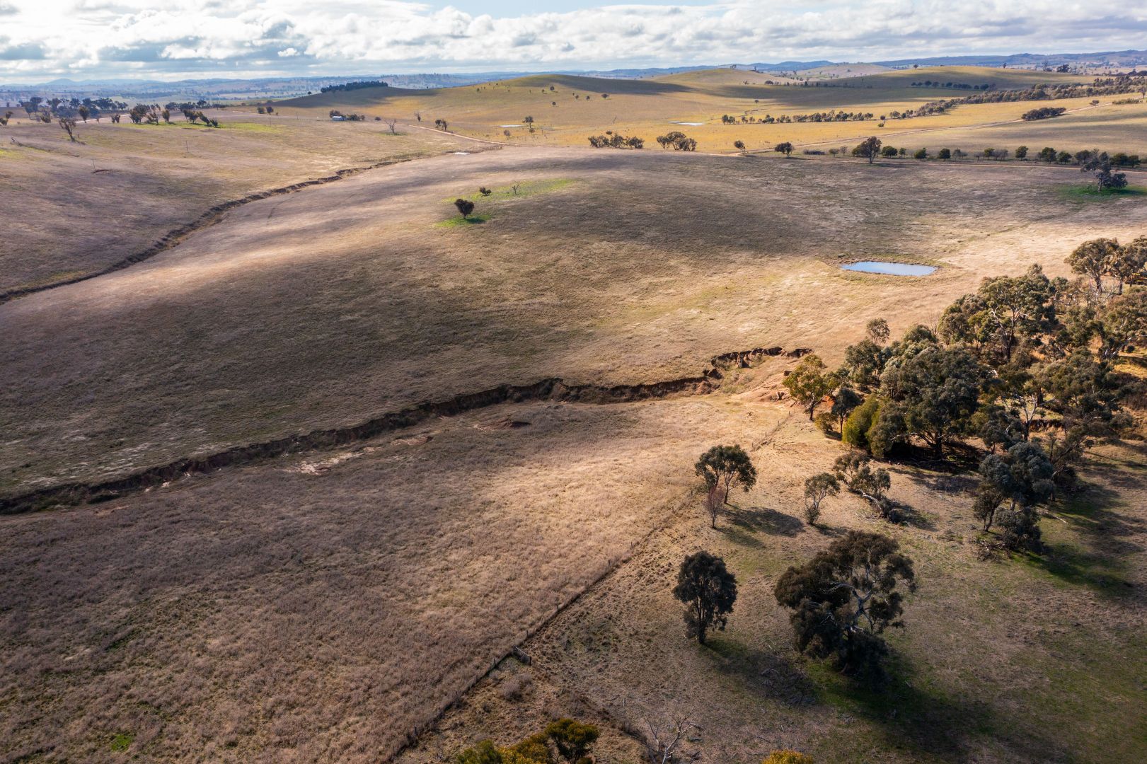 Cnr Brial & Rugby Road, Boorowa NSW 2586, Image 1