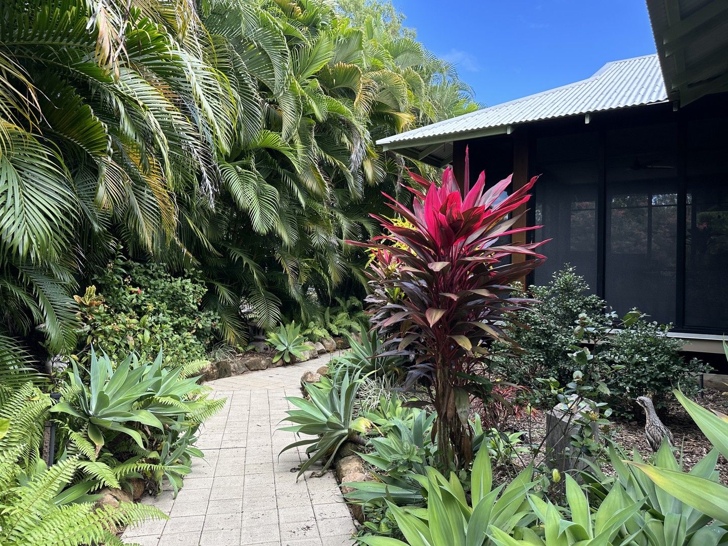3 bedrooms House in 20 Mandalay Ave NELLY BAY QLD, 4819