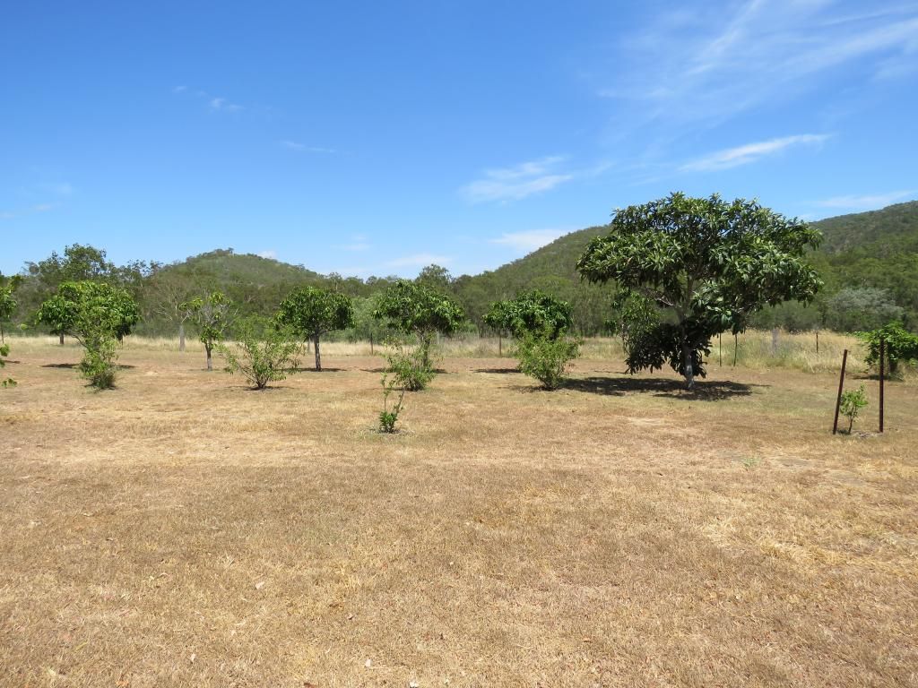 Coalstoun Lakes QLD 4621, Image 1