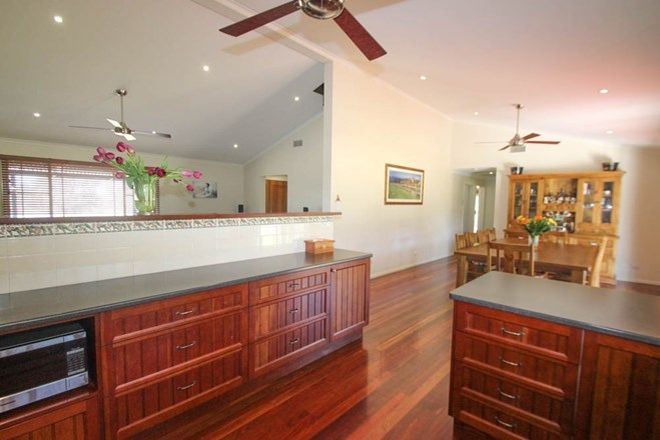 Picture of 77 Wollemi Peak Rd, BULGA NSW 2330