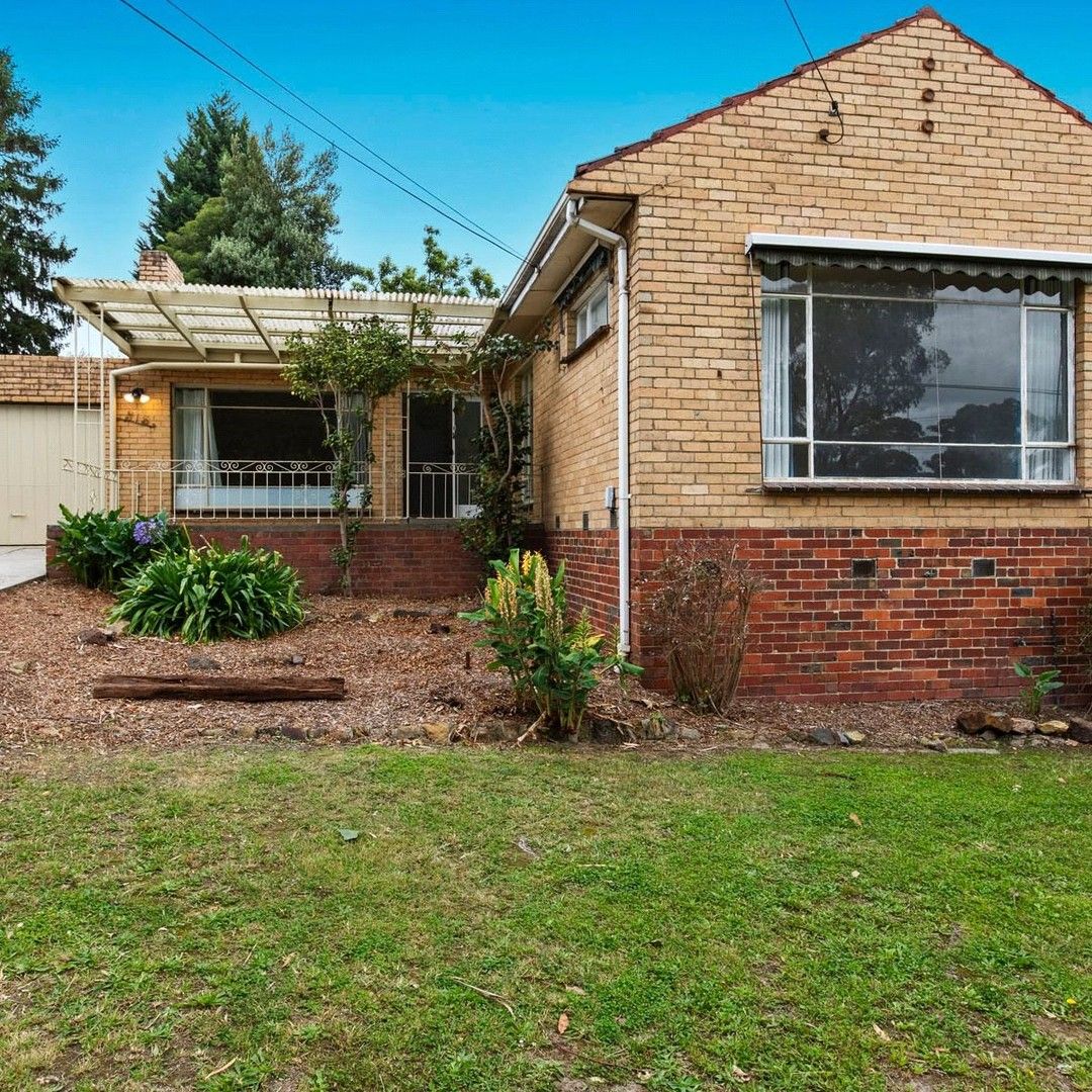 315 Canterbury Road, Forest Hill VIC 3131 House For Rent Domain