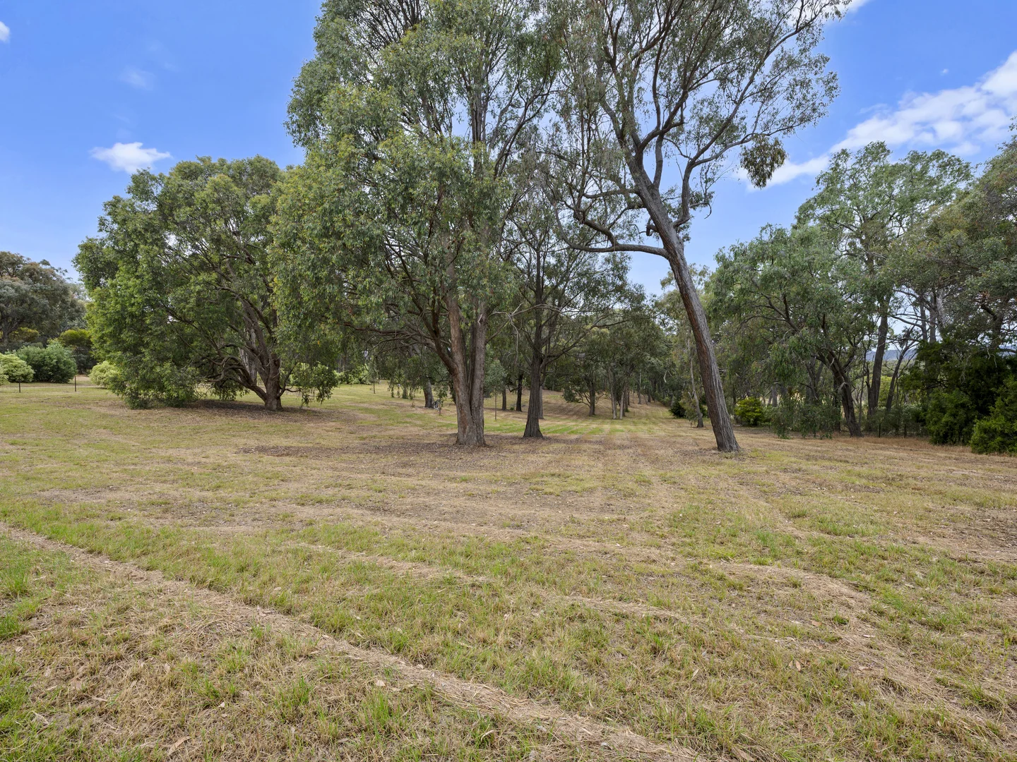 Image 15