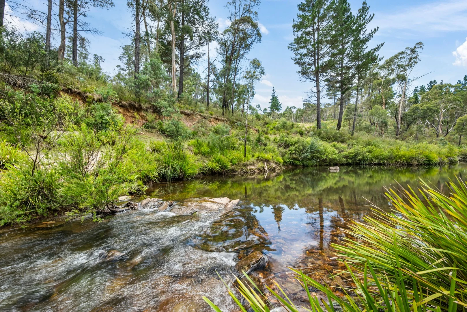 7288 Nerriga Road, Braidwood NSW 2622