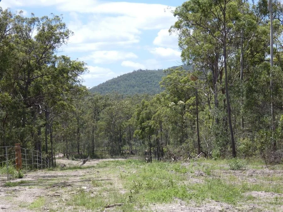 Image 8