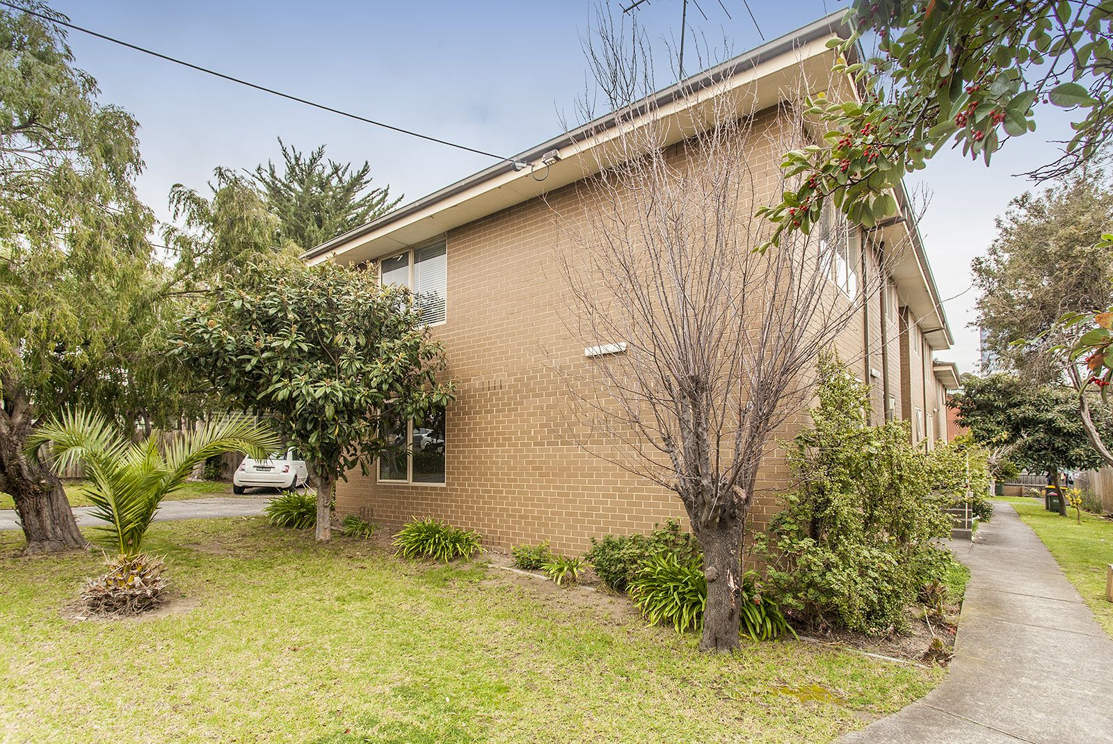 1/63 Severn St, Box Hill North VIC 3129 Apartment For Rent Domain